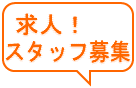 求人|スタッフ大募集!