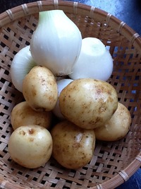 FMKパンゲア【エブリーキッチンスタジオ】☆新じゃが☆