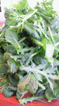 ◇矢部の美味しい野菜◇