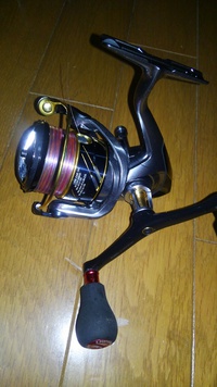 ベイトエギング撃沈 2019/04/16 21:43:11