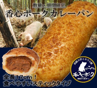 カレーパンのカタチ カレーパンのカタチ