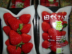 イチゴー本物の苺!