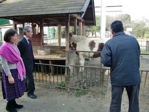 慈愛園