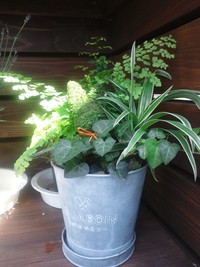 歳をとりました。。。