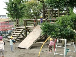 新たな出会い・・・素敵な一日の始まりです