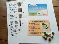 お灸教室~花粉症 お灸教室~花粉症