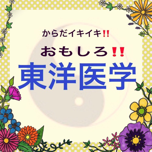 東洋医学の講座をやります‼️