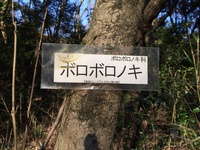 立田山