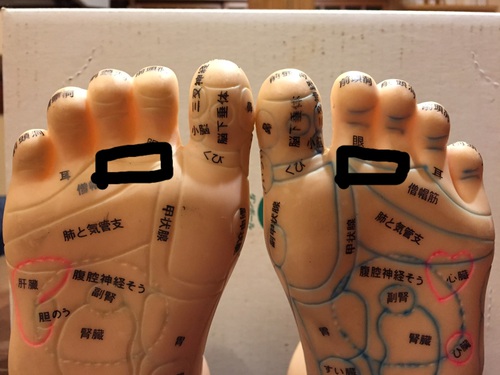 最近、目は大丈夫? 最近、目は大丈夫?