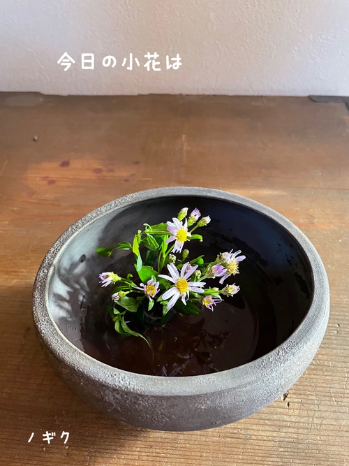 今日の小花