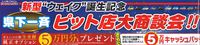 【新型”ウェイク”誕生記念　県下一斉　ピット店大商談会！！】 2014/11/12 11:01:38