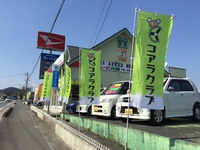 コアラクラブ5周年記念　★スプリングフェスタ★開催中です！ 2015/03/13 10:35:57