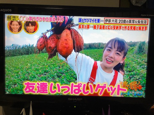 いもジョ いもジョ