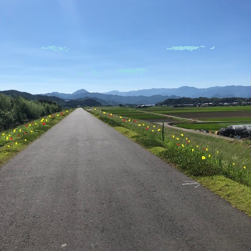 こころ躍るグリーンラインロード こころ躍るグリーンラインロード
