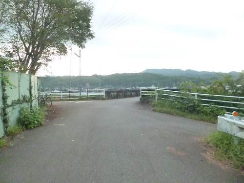 今ですよ！！彼岸花街道 花盛り