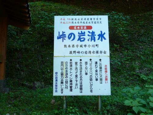紅葉の下見