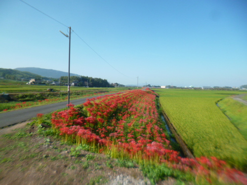 管理者さまに感謝
