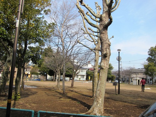 そば政 (六町)　天も