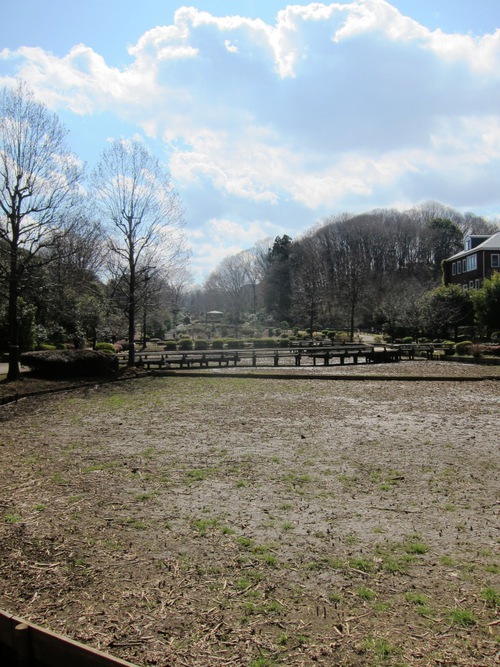 やくし売店 (玉川学園前)　梅そ