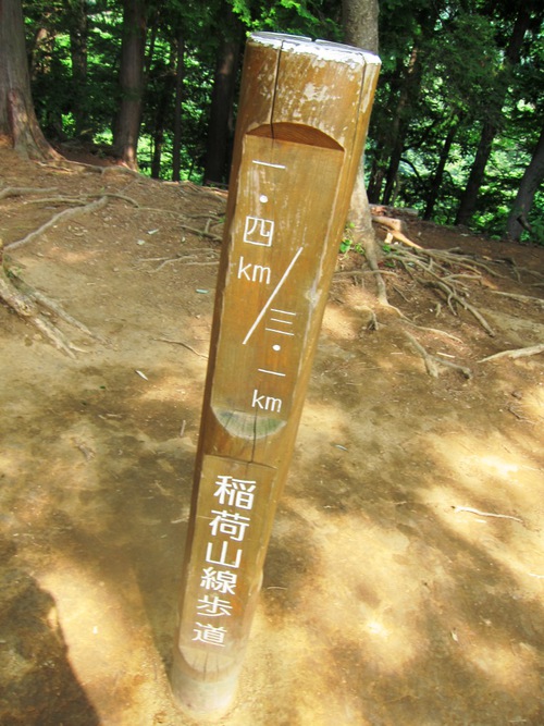 高尾山を稲荷ぃーで一丁平まで。