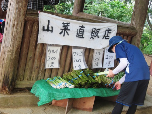 高尾山を稲荷ぃーで一丁平まで。