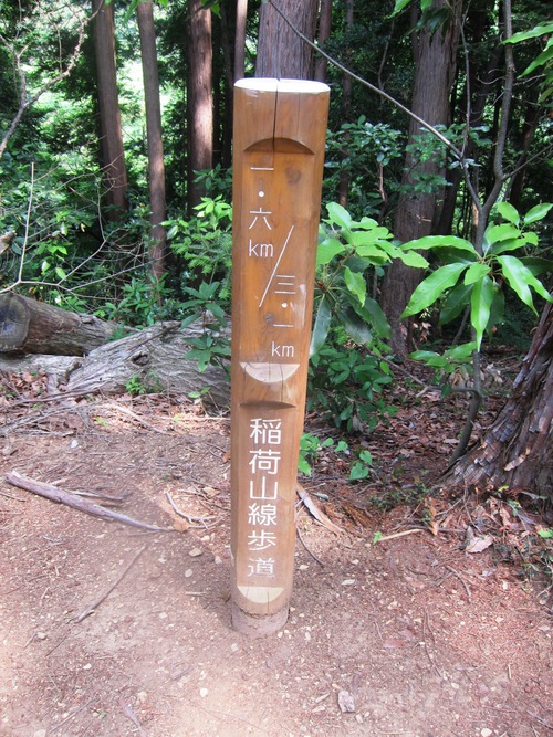 高尾山を稲荷ぃーで一丁平まで。