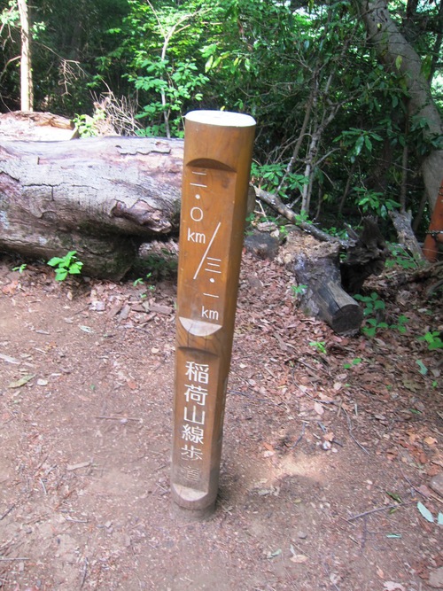 高尾山を稲荷ぃーで一丁平まで。