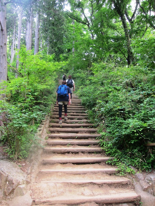 高尾山を稲荷ぃーで一丁平まで。