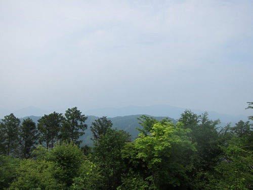 高尾山を稲荷ぃーで一丁平まで。