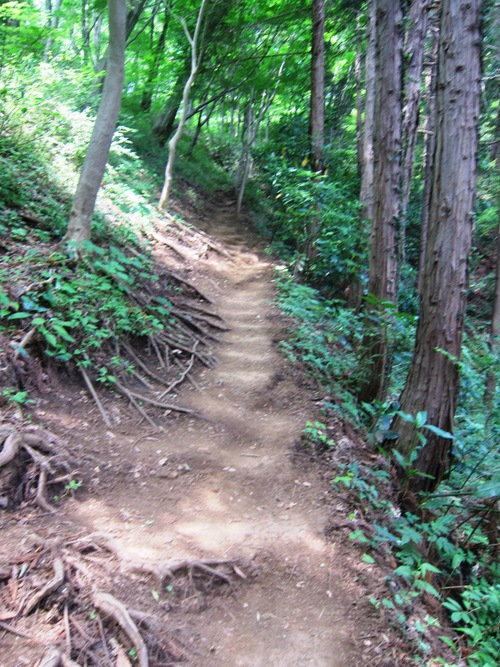 高尾山を稲荷ぃーで一丁平まで。