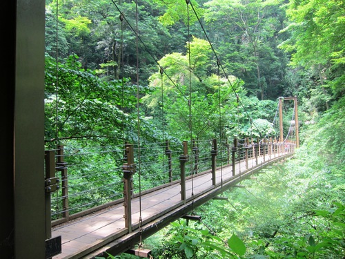 高尾山を稲荷ぃーで一丁平まで。