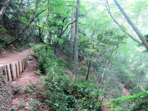 高尾山を稲荷ぃーで一丁平まで。