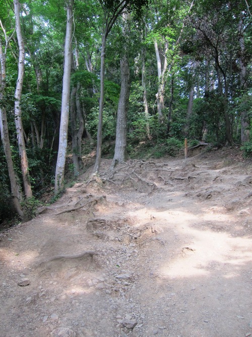 高尾山を稲荷ぃーで一丁平まで。