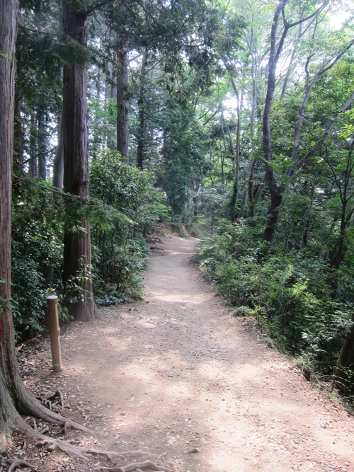 高尾山を稲荷ぃーで一丁平まで。