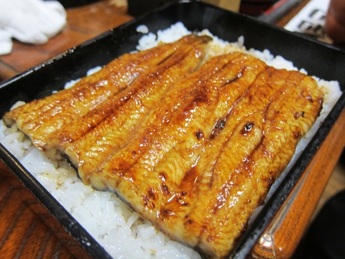 鳥よし (千駄木)　はやぶさ会鱧の巻