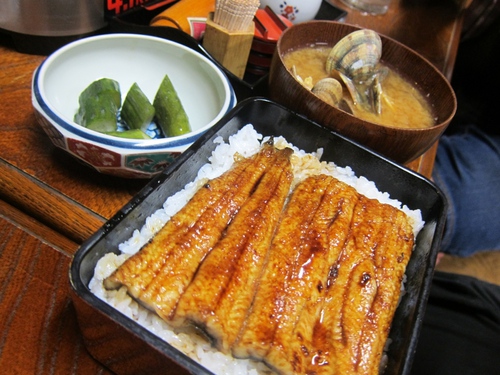 鳥よし (千駄木)　はやぶさ会鱧の巻