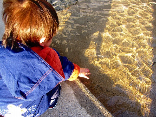 熊本市水の科学館＆八景水谷公園は子どもと一緒のお散歩におススメ！夏は水遊びが無料でできちゃいます