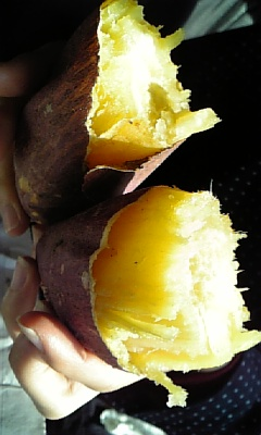 焼き芋