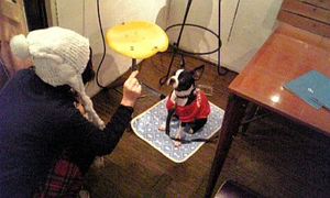 わんたろさん