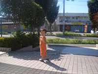 へんな夢