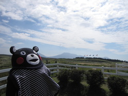 くまもtん大好きです②