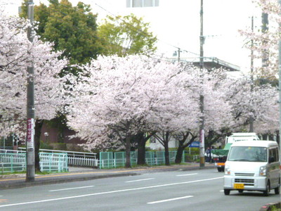 春らんまん心にも花満開