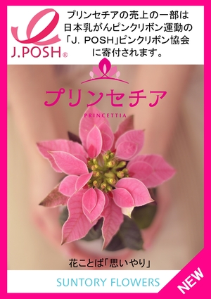 プリンセチア