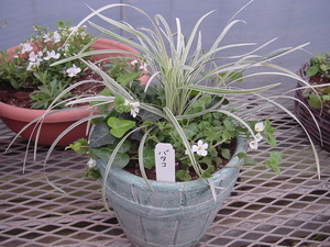 寄せ植えＰａｒｔ２