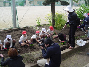 本荘小に花を