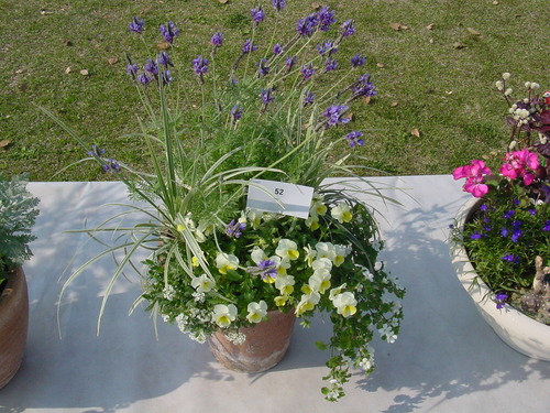 寄せ植え☆ズラリ①