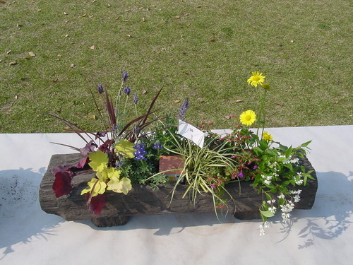 寄せ植え☆ズラリ②