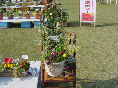 寄せ植え☆ズラリ②