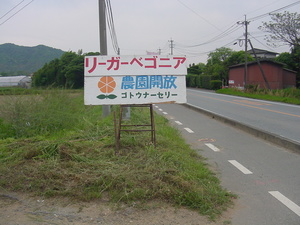 初日終了