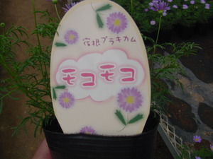 ついに降り出した